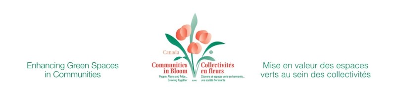 The Judges are coming!