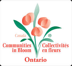 The Judges are coming!